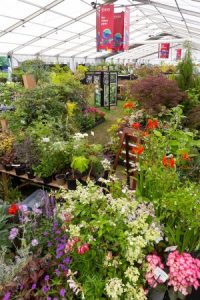 Master Grower stand