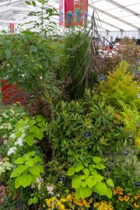 Master Grower stand