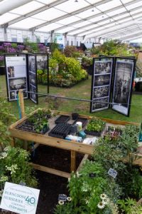 Master Grower stand