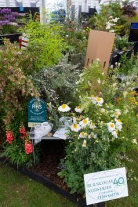 Master Grower stand