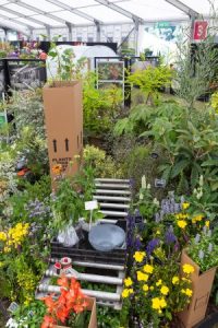 Master Grower stand