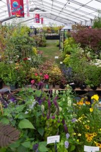 Master Grower stand