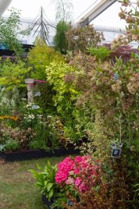 Master Grower stand