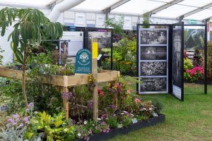 Master Grower stand