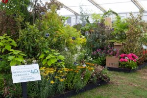 Master Grower stand