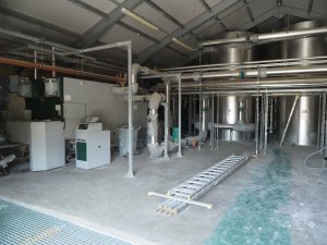 Inside the plant