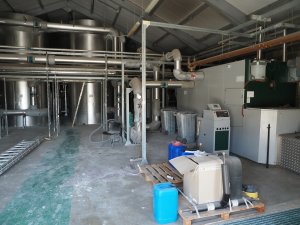 Inside the plant