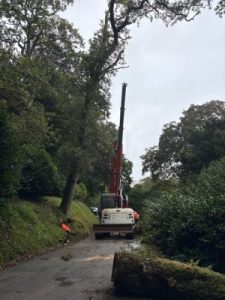 crane in action