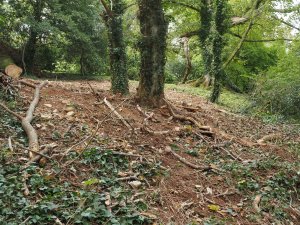 The recent Ross clearing on Bond Street