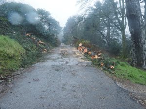 Looking up the drive from the Hovel