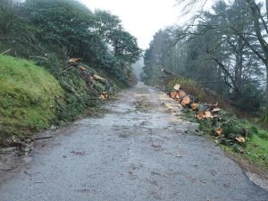 Looking up the drive from the Hovel
