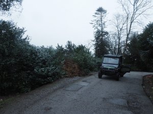 No tree cover from the ferneries over to 40 Acres