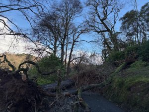 The Drive below Hovel