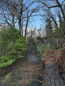 The Drive below Hovel