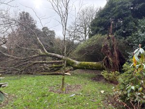 Top Lodge to the Hovel