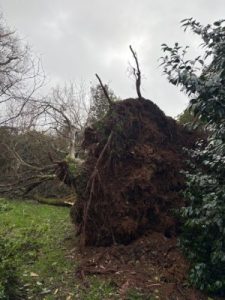 Top Lodge to the Hovel