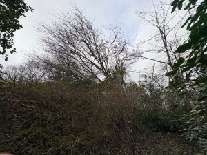 Top Lodge to the Hovel