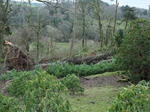 pheasant pen has ceased to exist