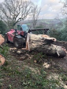 Bob and the telehandler