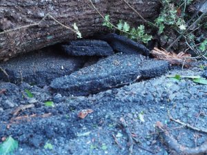 Damage to the tarmac