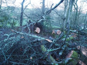 The road to the Hovel is clear