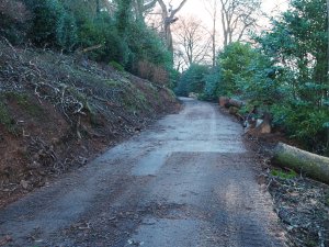 The view up the drive
