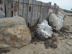 beach defences