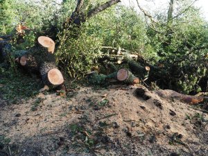 The path is now clear below Donkey Shoe