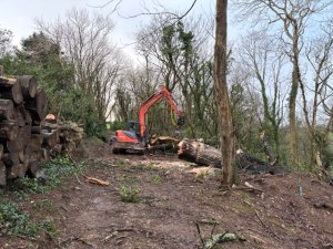 Bramble Field path is now clear