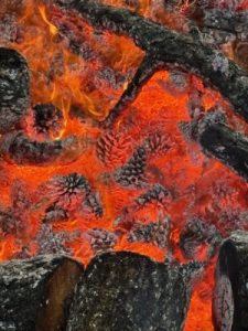 Burning fir cones