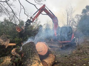 Work starts at Donkey Shoe