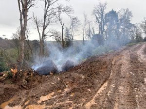 The latest state of play up Hovel Cart Road