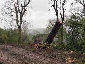 The latest state of play up Hovel Cart Road