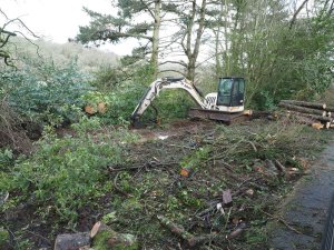 Ross is making real progress