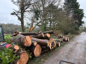 Work progresses on the drive