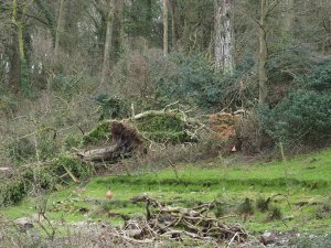 Catastrophic damage at the centre of Brownberry