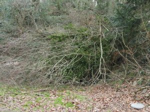 More damage at the end of Old Park