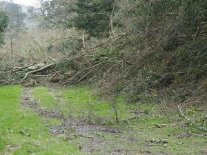 More damage at the end of Old Park