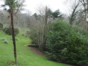 Along the bottom of 40 Acre Wood