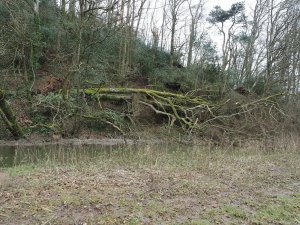 By the top of the lake the whole skyline has gone