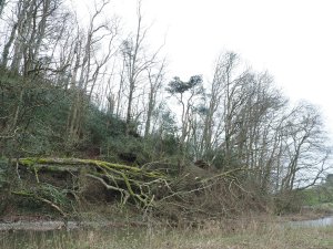 By the top of the lake the whole skyline has gone