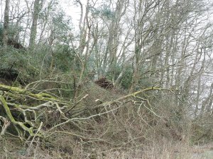 By the top of the lake the whole skyline has gone