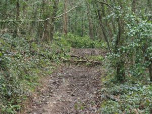 One of the tracks in Parnall’s Hill