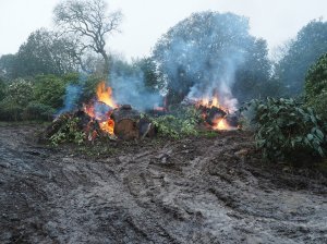 Serious progress at Donkey Show