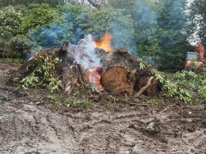 Serious progress at Donkey Show