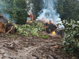 Serious progress at Donkey Show