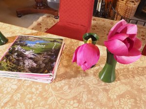 Setting up for a video