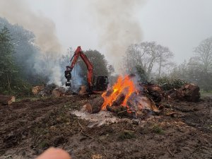 Clearing a laurel hedge