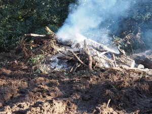 Not much left of the fire