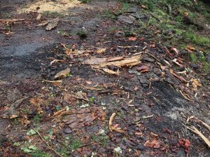 Serious damage to the drive